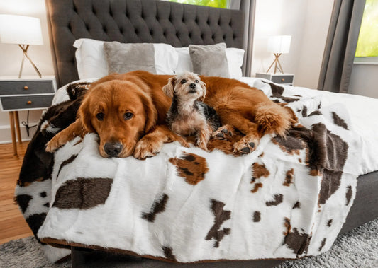 PupProtector Waterproof Throw Blanket for Dogs and Cats Pet Blanket Cover for Couches Sofas Beds Car Seats Furniture Calming Soft Faux Fur Brown Cowhide Large (80" L x 62" W)